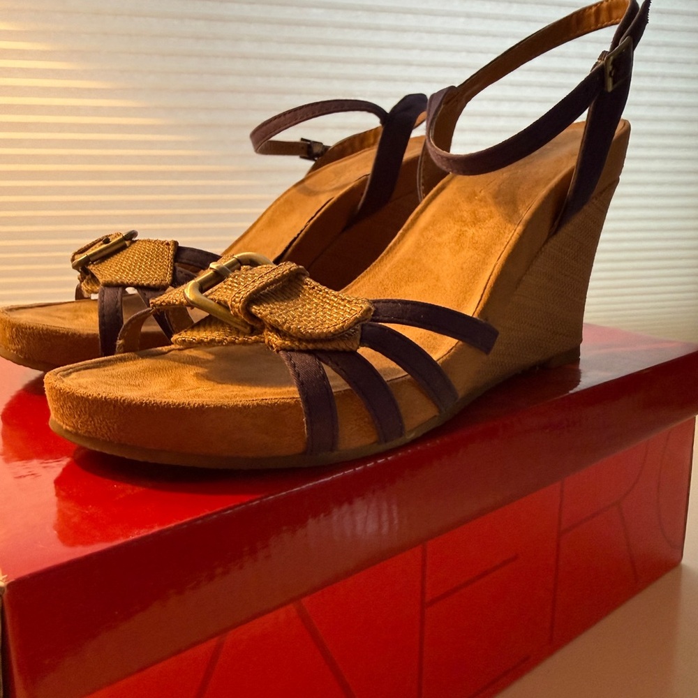 AEROSOLES Brown and Dark Brown Wedge Sandals with Ankle Strap